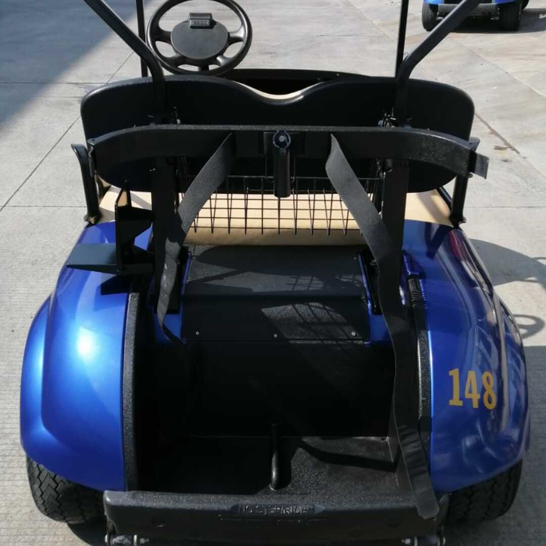 Renta de Carrito de Golf 2 Pasajeros